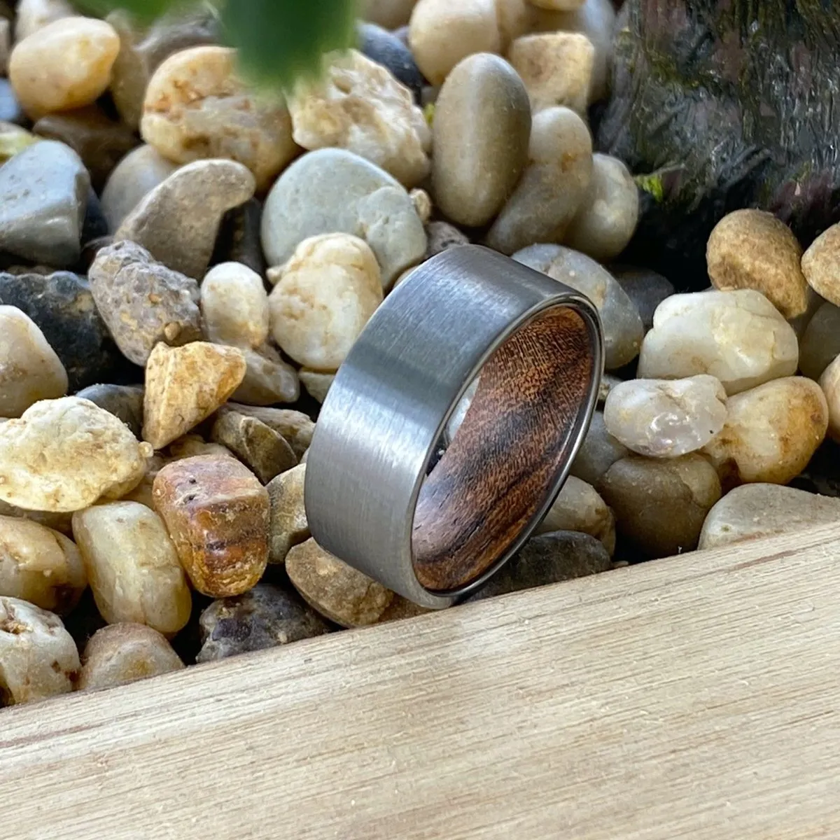 CANOLI | Bocote Wood, Silver Tungsten Ring, Brushed, Flat