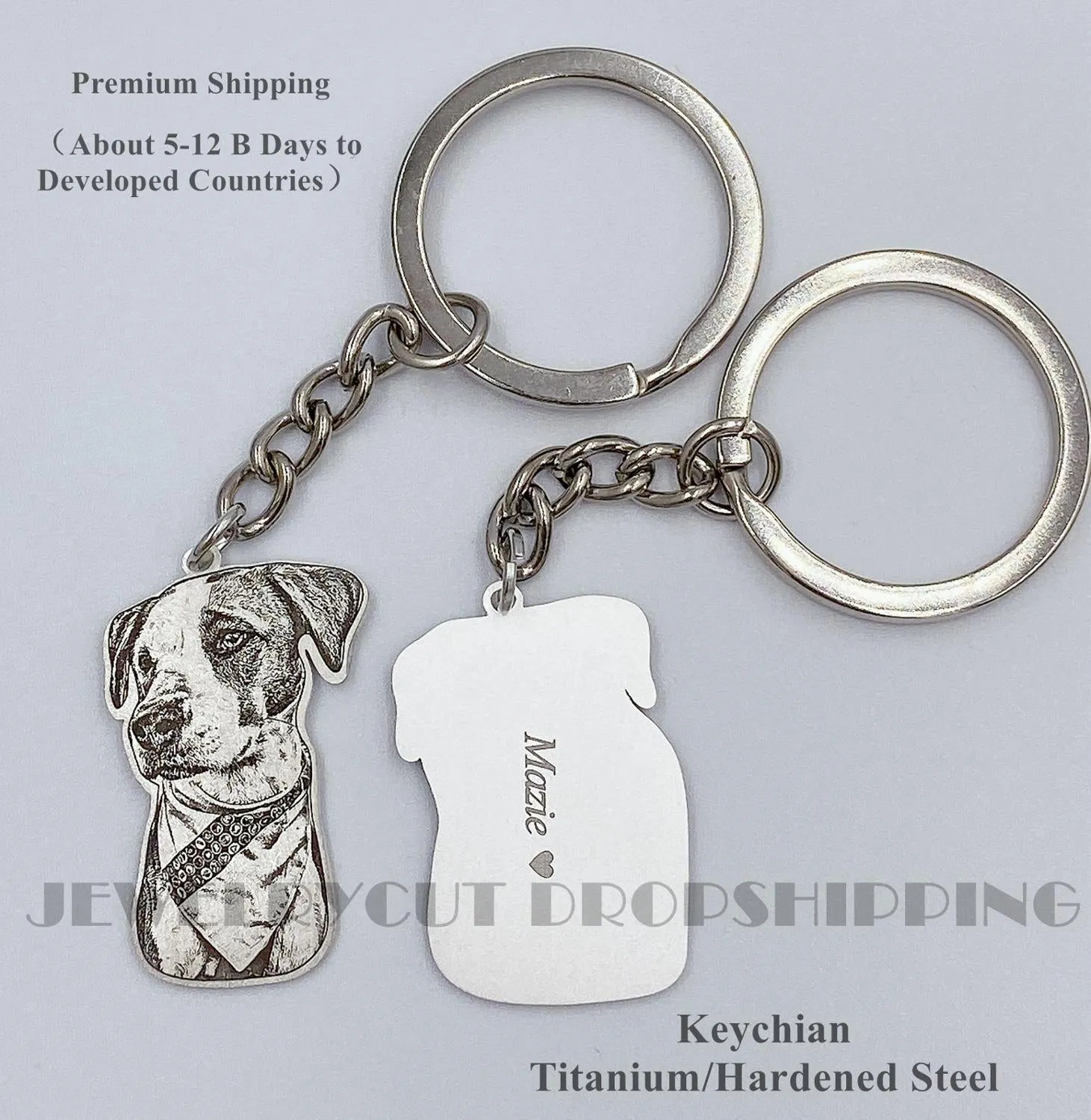 Customized Pet Keychain Photo personalized Jewelry 925 Sterling Silver Memory Keepsake Engrave Dog Cat Name Tag Portrait