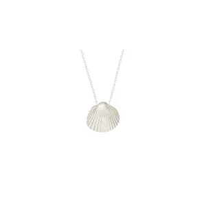 Small Sun Shell Silver Necklace