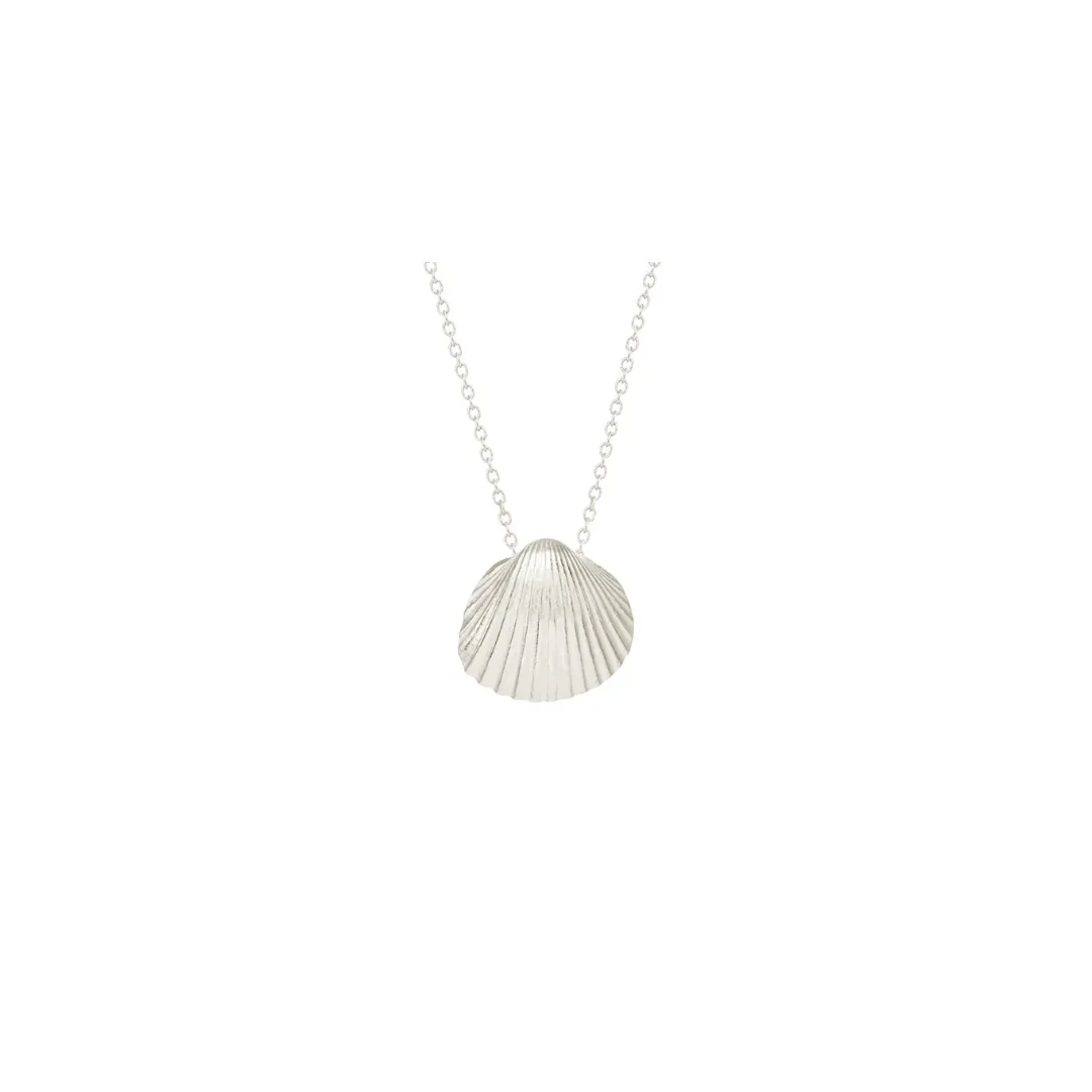 Small Sun Shell Silver Necklace